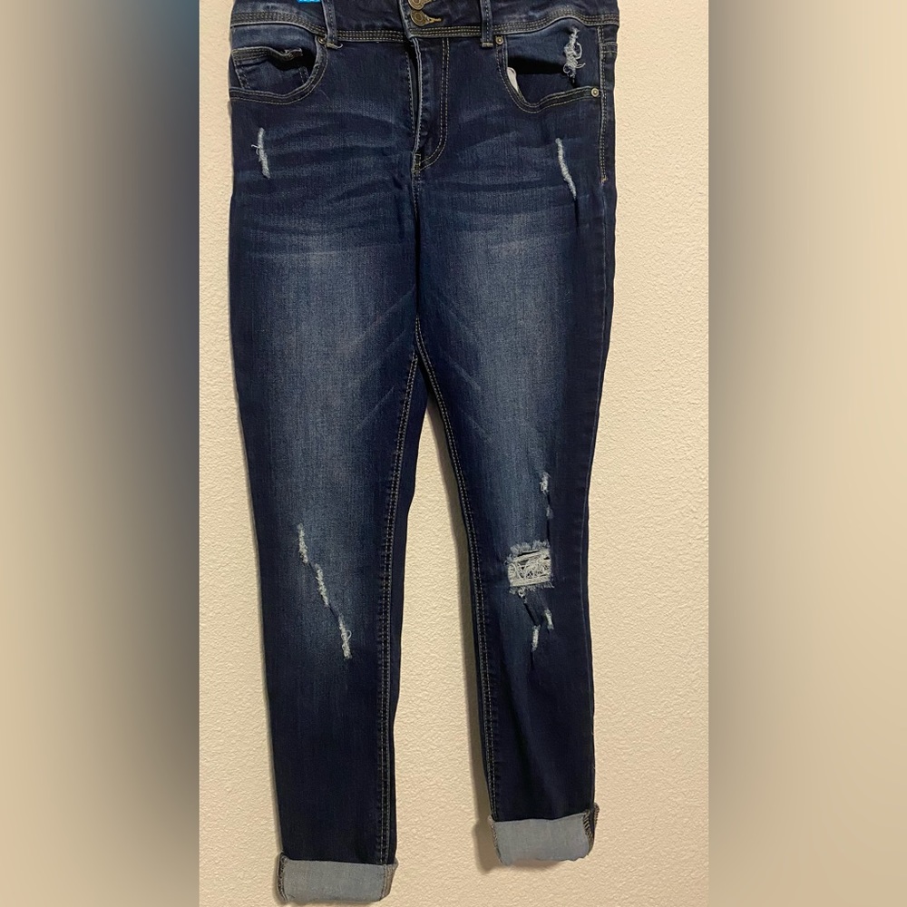 Indigo Rein Distresses Jeans